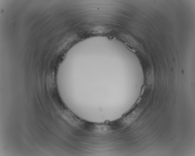 X0000077280376200611101324