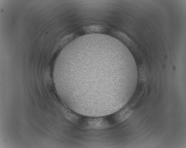 X0000077280377200611101324