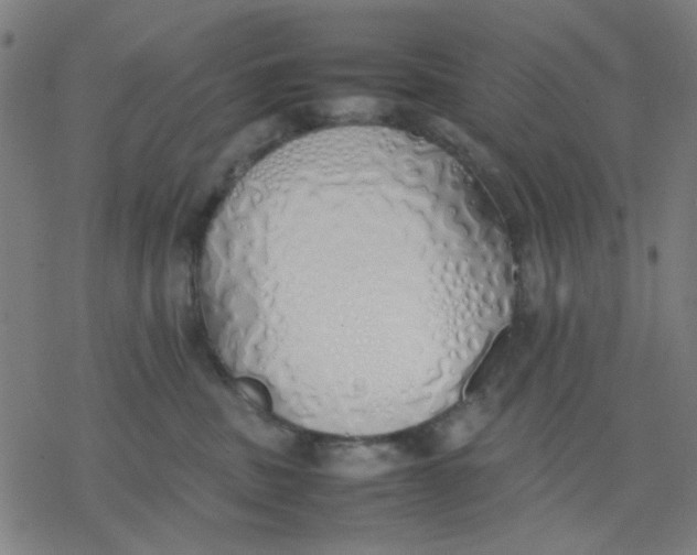 X0000077280379200611101324