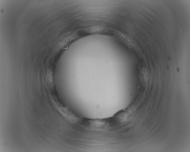 X0000077280380200611101324