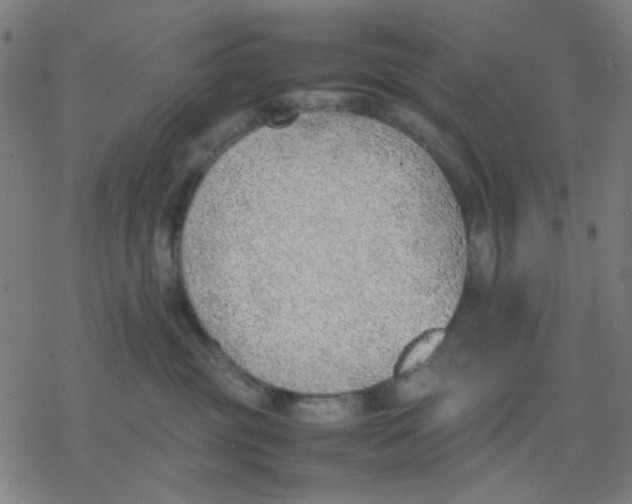 X0000077280381200611101324