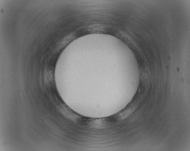 X0000077280382200611101324