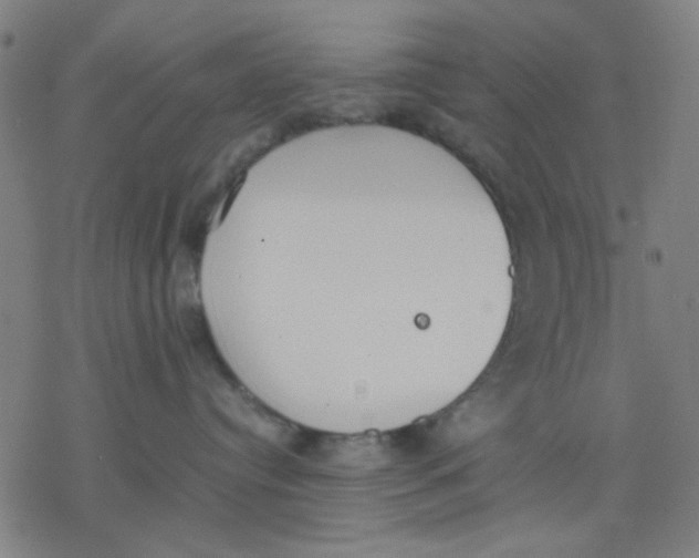 X0000077280384200611101324