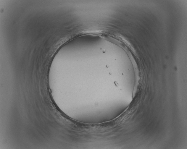 X0000077280385200611101323