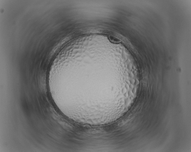 X0000077280386200611101323