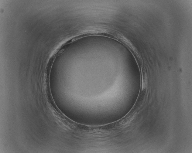 X0000077280387200611101323