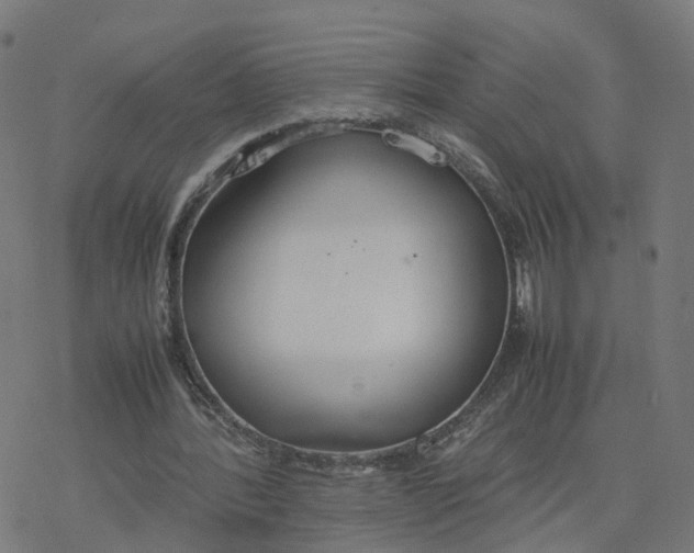 X0000077280388200611101323