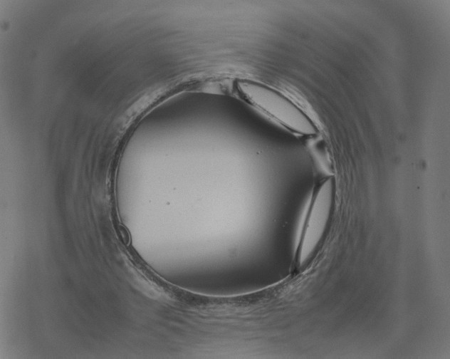 X0000077280389200611101323