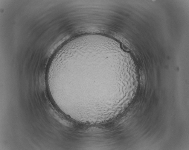 X0000077280390200611101323