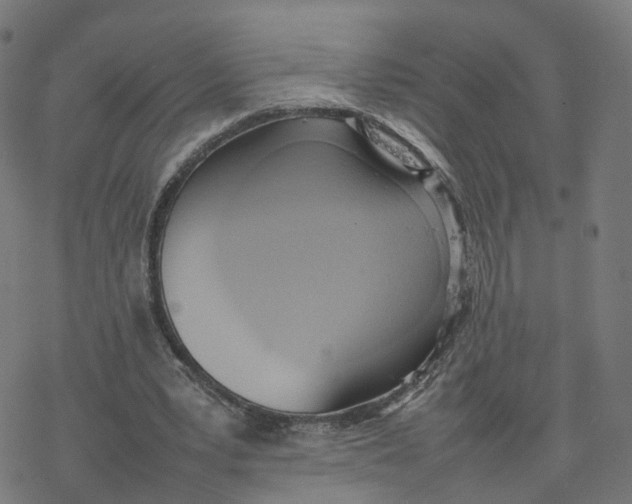 X0000077280391200611101323