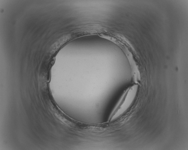 X0000077280393200611101323