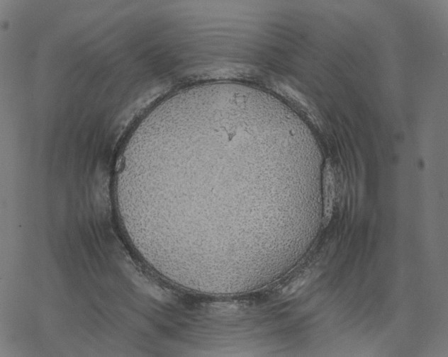 X0000077280394200611101323