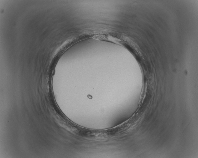 X0000077280395200611101323