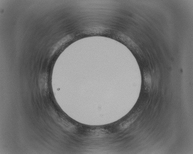 X0000077280396200611101323