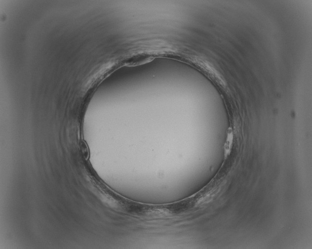 X0000077280397200611101323