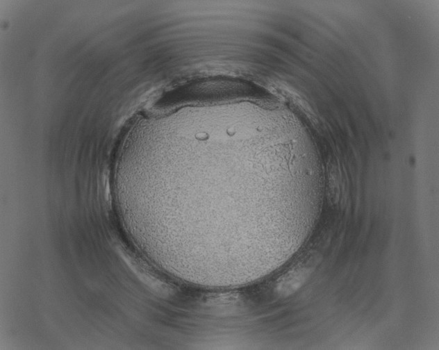 X0000077280398200611101323