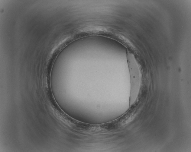 X0000077280399200611101323