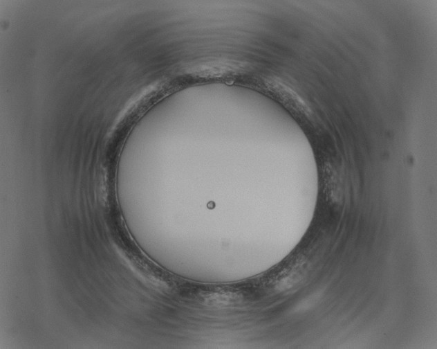 X0000077280400200611101323