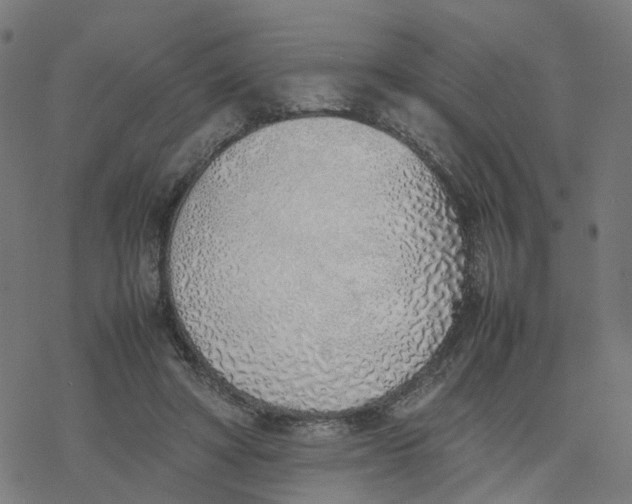 X0000077280402200611101323