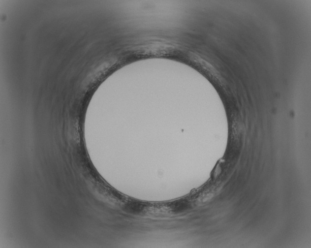 X0000077280403200611101323