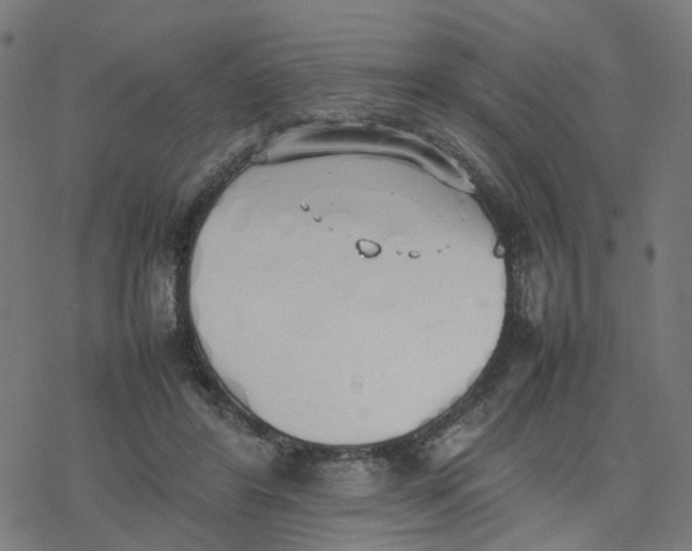 X0000077280404200611101323