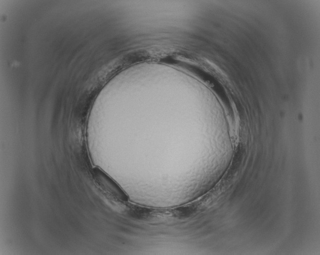 X0000077280405200611101323