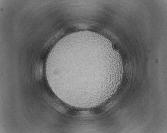 X0000077280406200611101323