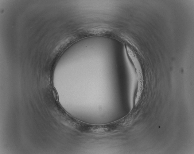 X0000077280407200611101323