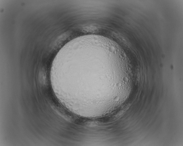 X0000077280408200611101323