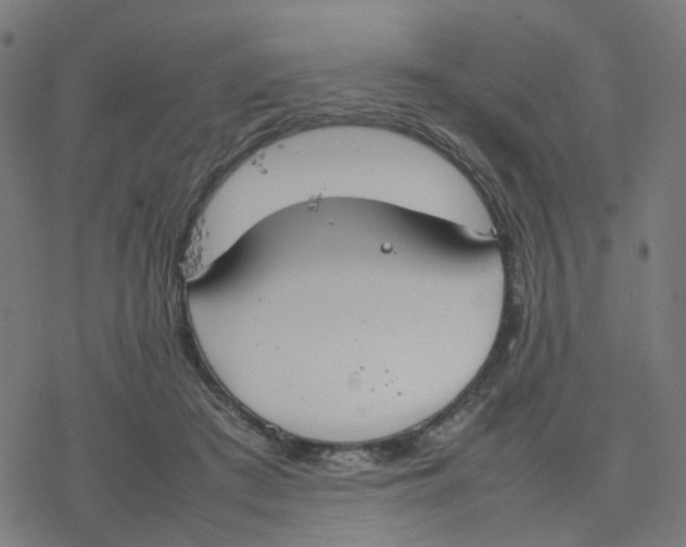 X0000077280409200611101323