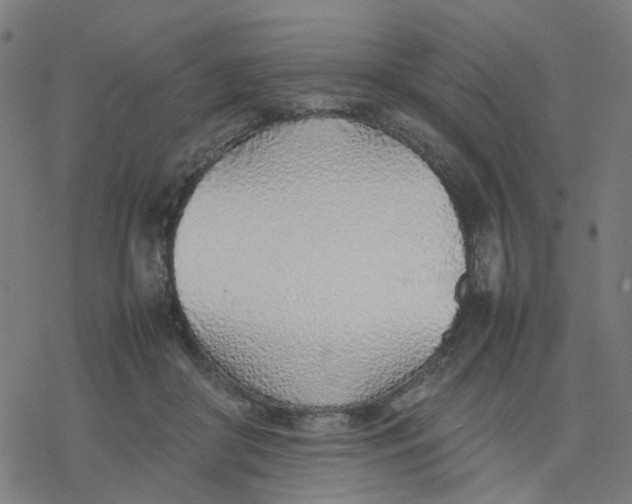 X0000077280410200611101323