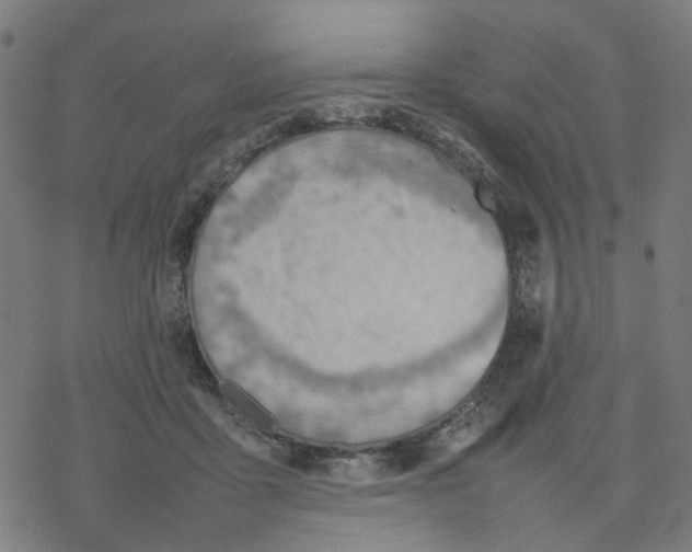 X0000077280411200611101323