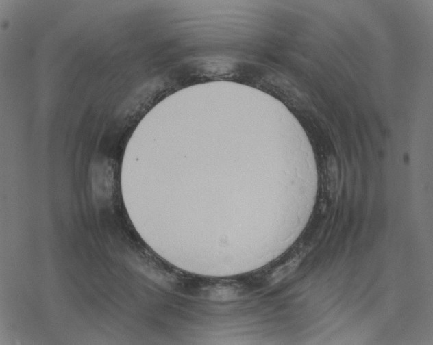 X0000077280412200611101323