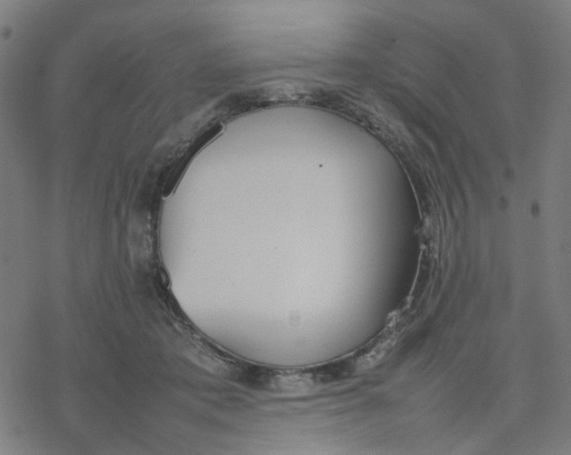 X0000077280413200611101323