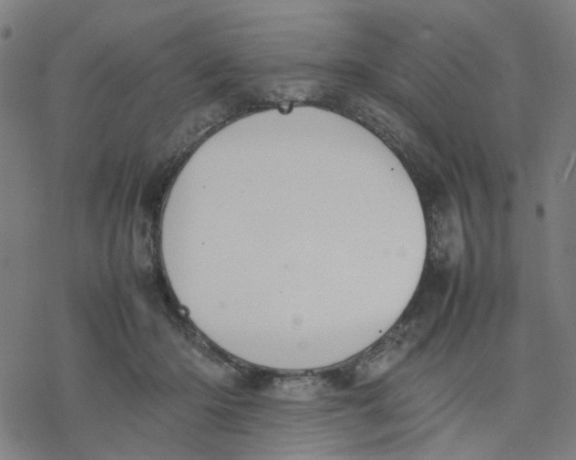 X0000077280414200611101323