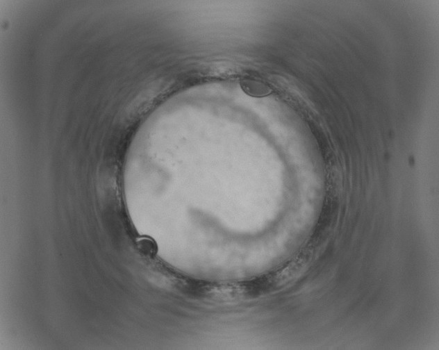 X0000077280415200611101323