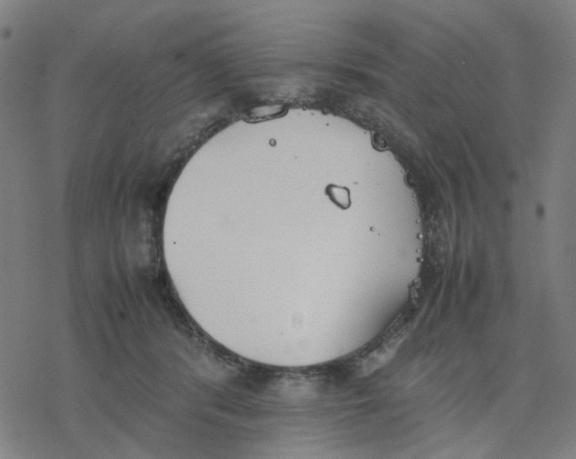 X0000077280416200611101323