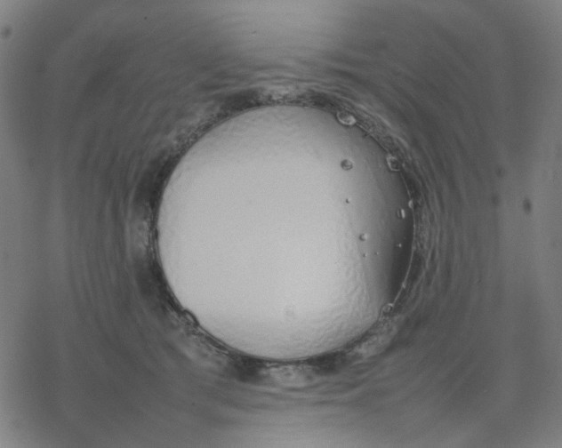 X0000077280417200611101323