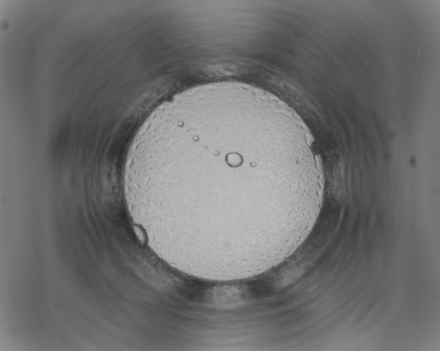 X0000077280418200611101323