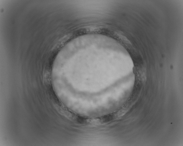 X0000077280419200611101323