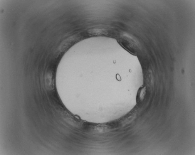 X0000077280420200611101323