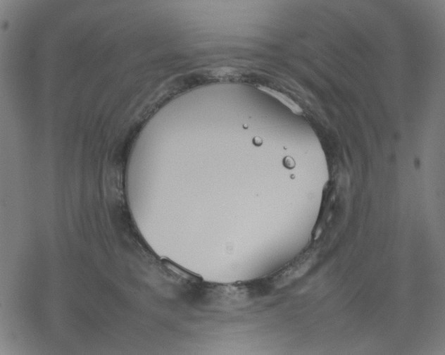 X0000077280421200611101323