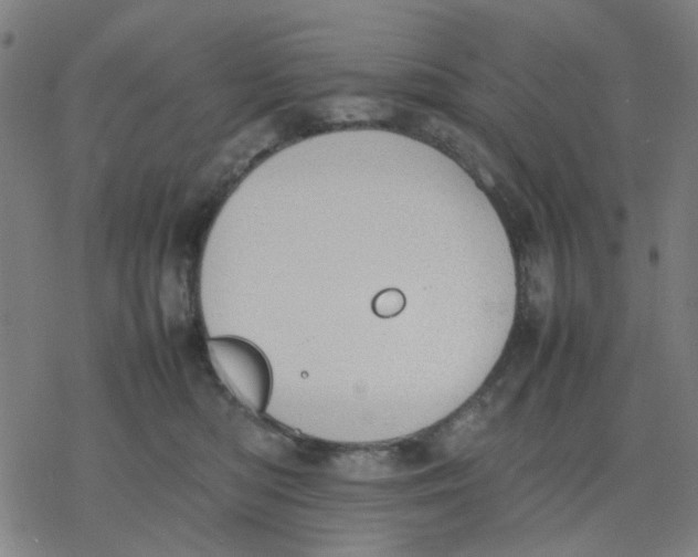 X0000077280422200611101323