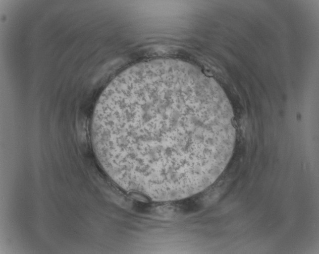 X0000077280423200611101322