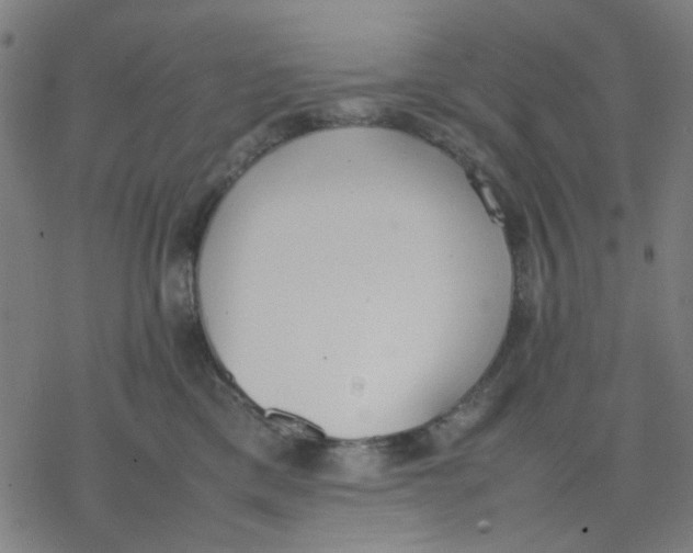 X0000077280425200611101322