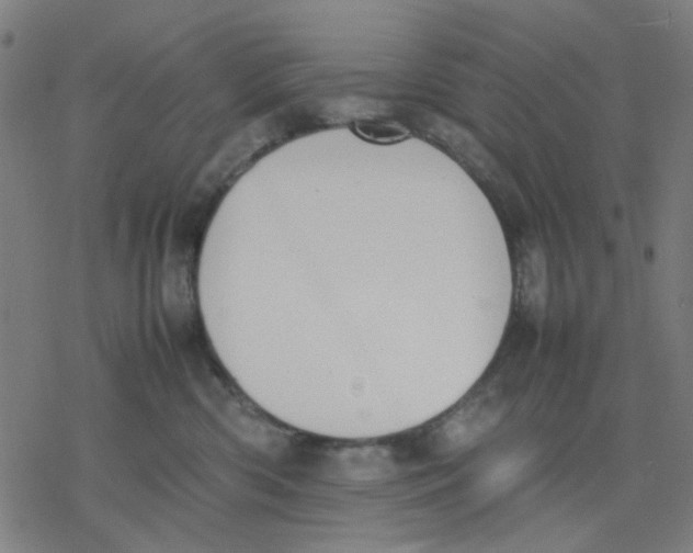 X0000077280426200611101322