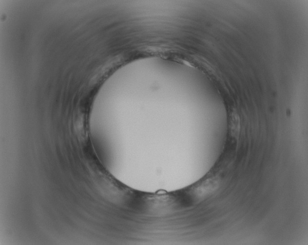 X0000077280428200611101322