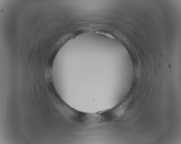 X0000077280429200611101322