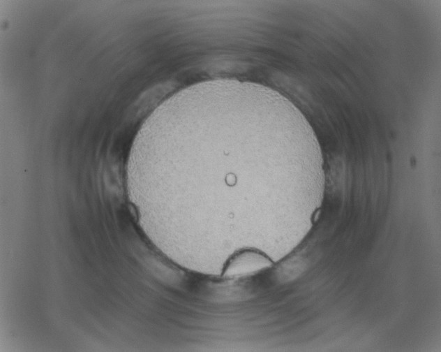 X0000077280430200611101322