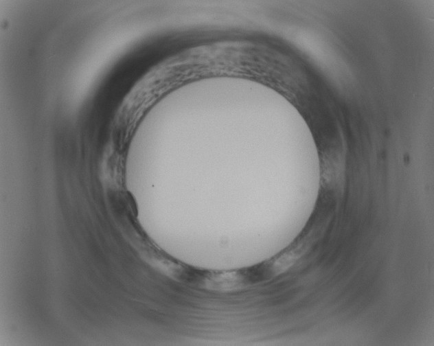 X0000077280431200611101322